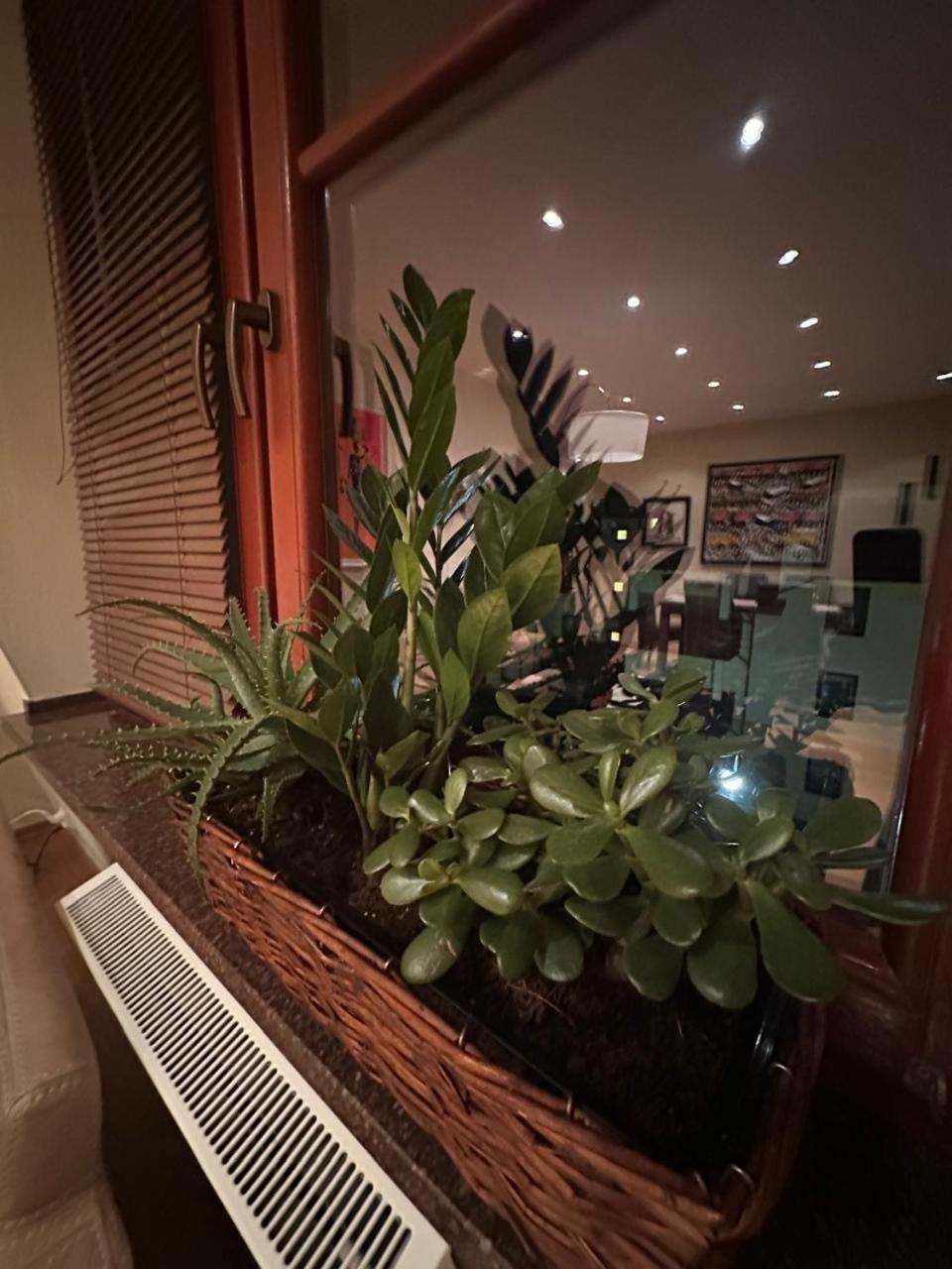 Apartament Josefina Polanica-Zdrój Esterno foto